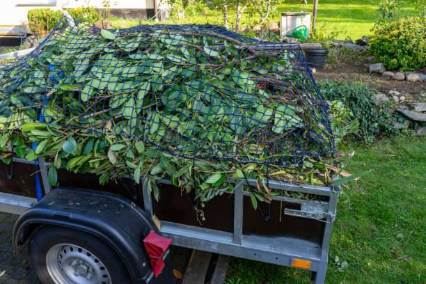 Best Construction Debris Removal  in Radcliff, KY